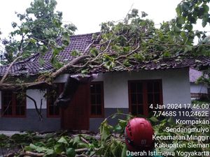 Hujan Angin di Sleman, 2 Orang Terluka-Puluhan Rumah Tertimpa Pohon Hujan Angin di Sleman, 2 Orang Terluka-Puluhan Rumah Tertimpa Pohon