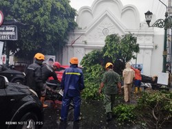 Brakkk! Pohon Tumbang Timpa Andong di Plengkung Wijilan Jogja