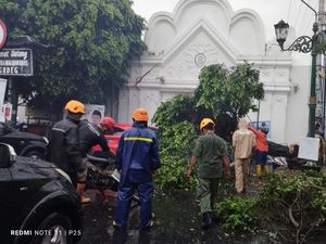Tertimpa Pohon Tumbang di Plengkung Wijilan, Kusir Andong Opname Tertimpa Pohon Tumbang di Plengkung Wijilan, Kusir Andong Opname