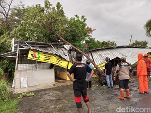Hujan-Angin Kencang Landa Bantul, Belasan Pohon Tumbang