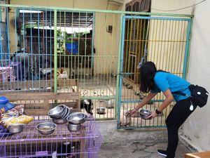 Shelter TKP Pembunuhan Kota Blitar Dikelola Keluarga, Hewan Diambil Pemilik