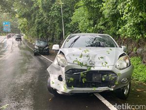 Pohon Tumbang Timpa 2 Mobil di Jalan Senggigi Lombok, 2 Terluka