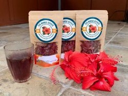 Kreatif! Mahasiswa KKN UNY di Kulon Progo Edukasi Bikin Teh Bunga Sepatu