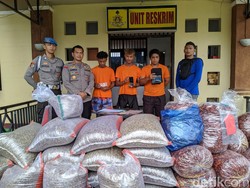 Remaja di NTB Curi Puluhan Karung Kopi untuk Mabuk dan Main Perempuan