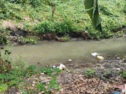 Dikira Boneka, Bocah Pasuruan Kaget Temukan Mayat Bayi Saat Main di Sungai