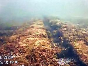 Sempat Dikira Gurita, Ternyata Ayah-Anak Ini Temukan Bangkai Kapal dari Abad ke-19 Sempat Dikira Gurita, Ternyata Ayah-Anak Ini Temukan Bangkai Kapal dari Abad ke-19