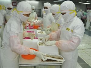 KKP Siapkan Langkah Strategis Hadapi Tuduhan AS soal Ekspor Udang Beku