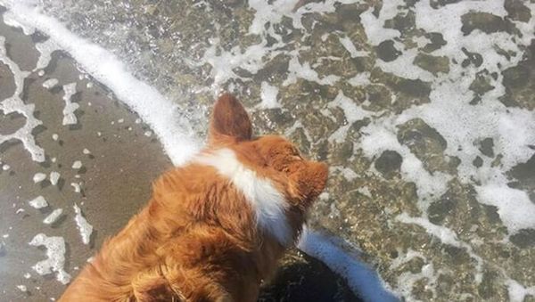 Kumpulan Foto Kebetulan Lucu dengan Jepretan Kamera yang Tepat