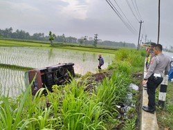 Brak! Mobil Nyemplung Sawah di Wates Kulon Progo
