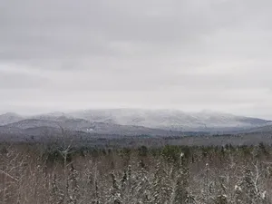 Bak di Film, Pendaki Jatuh di Jurang di Malam Beku Pegangan Pohon Kecil