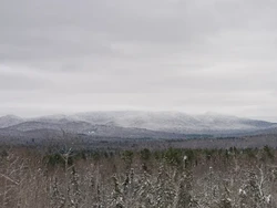 Bak di Film, Pendaki Jatuh di Jurang di Malam Beku Pegangan Pohon Kecil