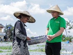 Turun ke Sawah, Mardiono Tampung Aspirasi Petani Sukabumi