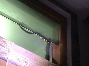 Hiii! Ular Berbisa Nangkring Santuy Kamar Mandi Warga Kartasura Sukoharjo Hiii! Ular Berbisa Nangkring Santuy Kamar Mandi Warga Kartasura Sukoharjo