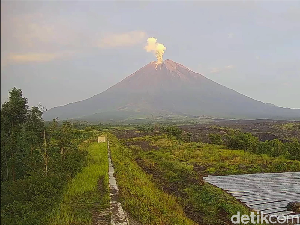Gunung Semeru Erupsi, Semburkan Abu Vulkanik Setinggi 2 Km