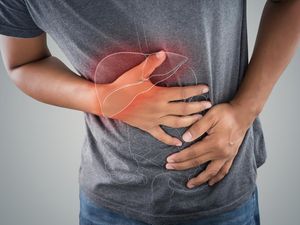 8 Cara Memperbaiki Pankreas Secara Alami, Wajib Pilih Makanan yang Tepat 8 Cara Memperbaiki Pankreas Secara Alami, Wajib Pilih Makanan yang Tepat
