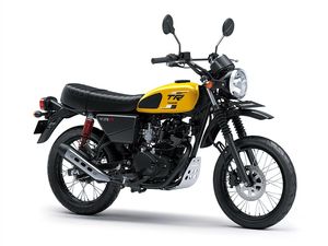 Kawasaki W175 TR Dapat Jubah Baru, Segini Harganya