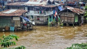 Normalisasi Sungai Ciliwung Kian Mendesak