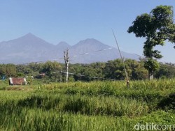 Pendakian Gunung Arjuno-Welirang Masih Tutup Dampak Cuaca Ekstrem