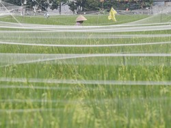 RI dan Vietnam Sepakat Kerja Sama di Bidang Pertanian-Perikanan