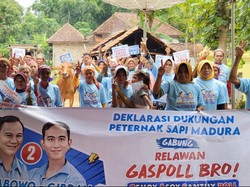 Gabung Gaspoll Bro, Peternak Sapi di Madura Totalitas Dukung Prabowo-Gibran