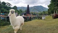 Taman Lembah Dewata, Potret Wisata Rasa Bali di Lembang