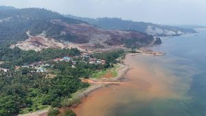 Potret Kawasan Industri Nikel di Desa Lalampu Morowali