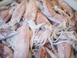 Cumi-cumi Sering Dikonsumsi Mentah, Apakah Aman Untuk Kesehatan?