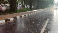 Tanaman yang Cocok Ditanam Saat Musim Hujan Tanaman yang Cocok Ditanam Saat Musim Hujan