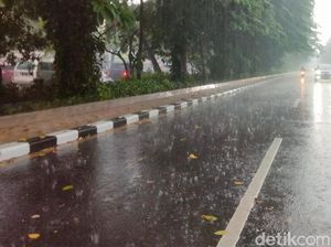 Tanaman yang Cocok Ditanam Saat Musim Hujan Tanaman yang Cocok Ditanam Saat Musim Hujan