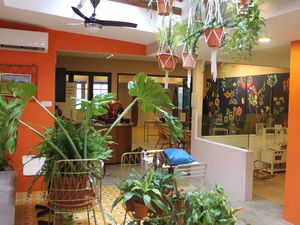 Spesial! Hanya Wanita yang Bisa Nongkrong di Kafe Cantik Ini Spesial! Hanya Wanita yang Bisa Nongkrong di Kafe Cantik Ini