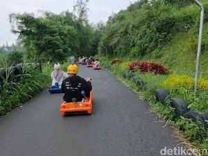 Potret Keseruan Seluncur dengan Luge Kart di Lembang Potret Keseruan Seluncur dengan Luge Kart di Lembang
