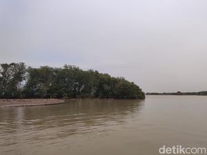 Pulau Arnavat yang Baru Ditemukan di Demak Menyimpan Mitos Pulau Arnavat yang Baru Ditemukan di Demak Menyimpan Mitos