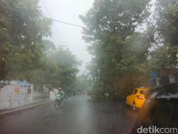 Ada 7 Pohon Tumbang-7 Titik Tergenang Saat Surabaya Dilanda Hujan Angin