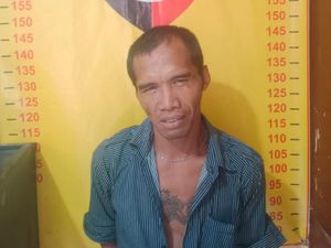 Viral Preman Ngamuk-Lempar Toko Ponsel di Deli Serdang gegara Tak Diberi Uang Viral Preman Ngamuk-Lempar Toko Ponsel di Deli Serdang gegara Tak Diberi Uang