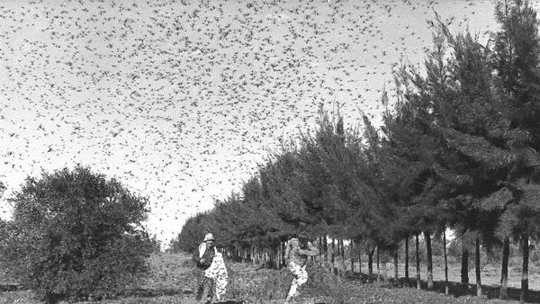 10 Bencana Alam Paling Misterius yang Pernah Ada