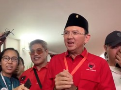 Respons Ahok soal Jokowi Absen di HUT PDIP