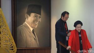 Aksi Sigap Prananda Prabowo Bantu Megawati