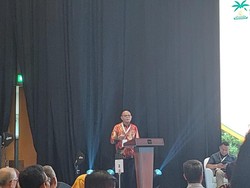 Dihantam Masalah Bertubi-tubi, Begini Kondisi Industri Sawit RI Saat Ini