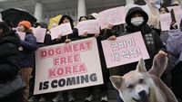 Korea Selatan Resmi Larang Perdagangan dan Konsumsi Daging Anjing