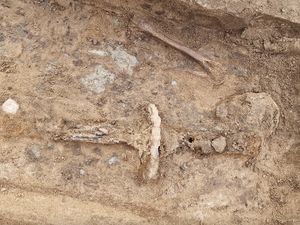 Membongkar Makam Kerangka Raksasa Berpedang Misterius