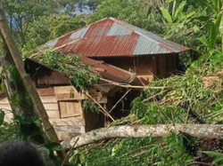 Longsor Terjang Permukiman di Tana Toraja, 5 Rumah Rusak-10 KK Mengungsi