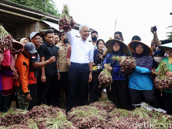 Turun ke Sawah, Ganjar Tampung Curhat Petani Bawang Merah di Brebes