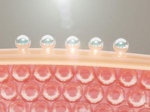 Mengenal Collagen Stimulator dan Manfaatnya untuk Tubuh