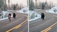 Deretan Foto Viral Ternyata Palsu, Hasil Editan Photoshop