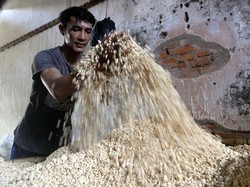 Dampak Dolar Menguat: Harga Tahu dan Tempe Ikutan Naik