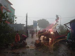 Ngemplak Boyolali Hujan Angin, Pohon Tumbang-Sungai Sempat Meluap