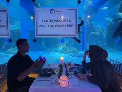 Lamaran Viral Bikin Baper, Pria Lamar Pacar Lewat Akuarium Raksasa di Jakarta