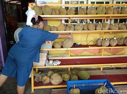 Awas! Maling Durian Montong Berkeliaran di Kota Probolinggo