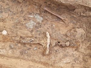 Makam Pria Setinggi Hampir 2 Meter Ditemukan Bersama Pedang Panjangnya di Swedia