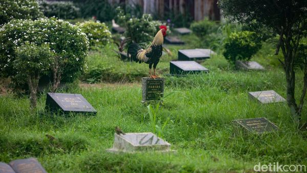 13 TPU di Depok Bebas Biaya Pemakaman